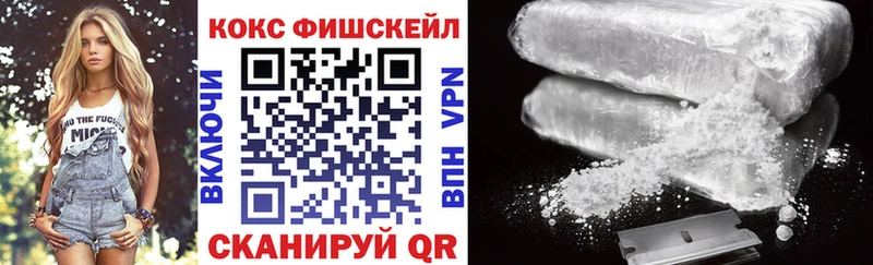 Купить закладки  Славск  КОКАИН FishScale 