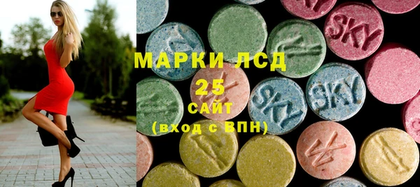 гашик Коряжма