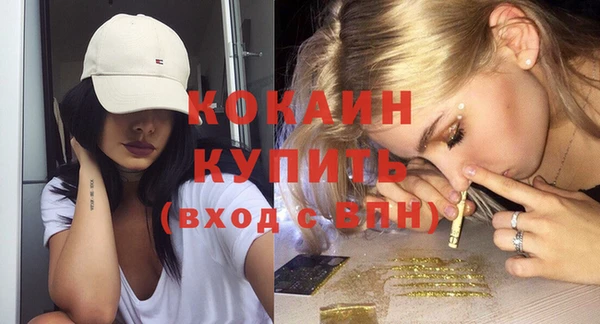 гашик Коряжма