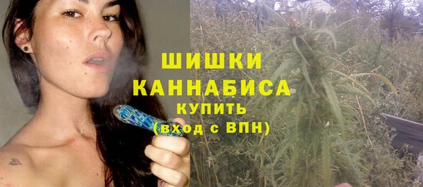 гашик Коряжма